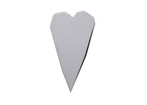 Anillo de plata FP
