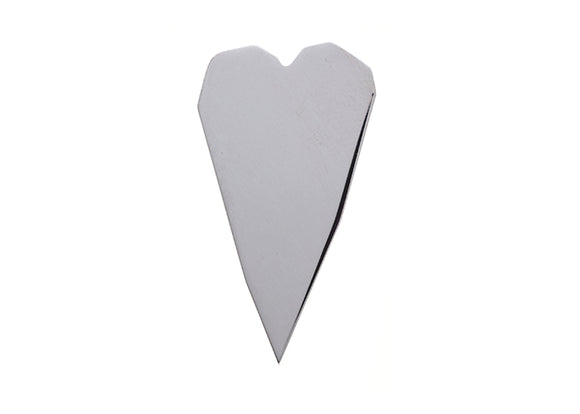Anillo de plata FP